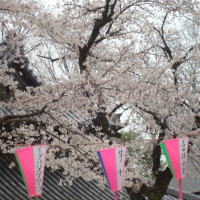 川越春祭り